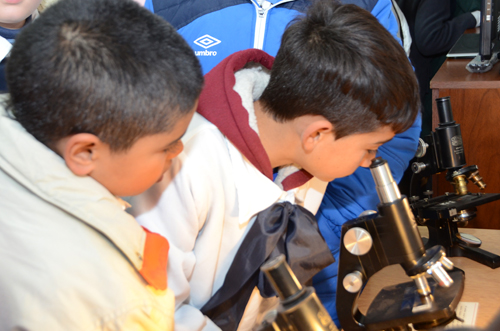 Niños y microscopio